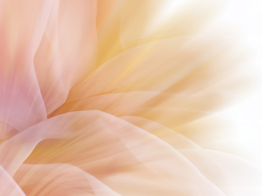 381596 (a): :1600x1200